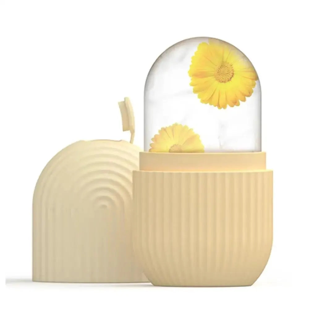 ❄️AUREA CHIC IceLuxe  Roller & Silicone Cube Tray Facial Massager